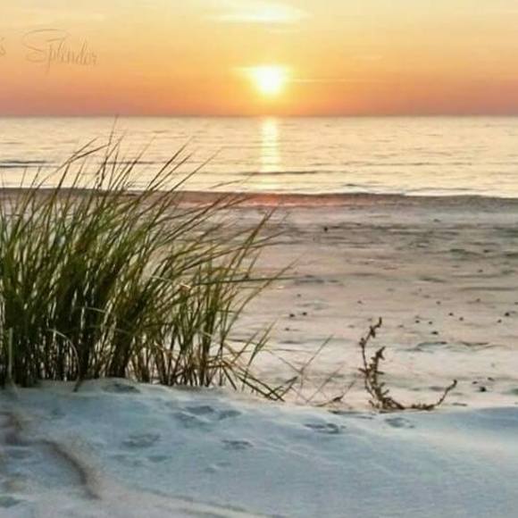 Meet your Posher, Linda - Picture 1 of 1